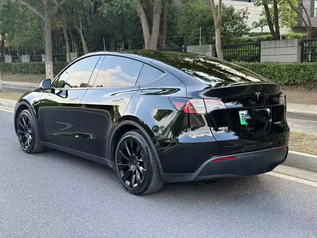 [object Object] Model Y 2024 из CN, фото 5