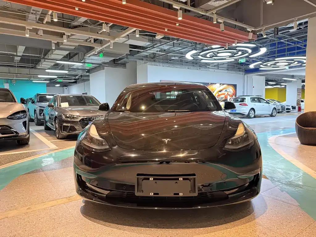 Tesla Model 3 2023 из CN, фото 2