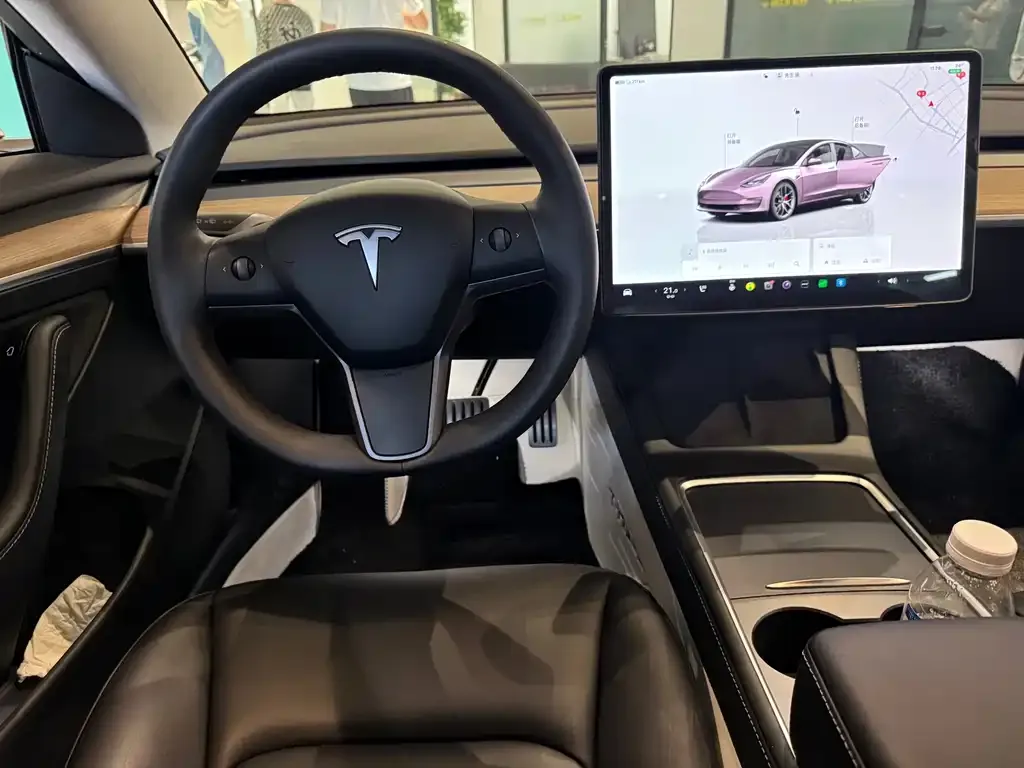 Tesla Model 3 2023 из CN, фото 6