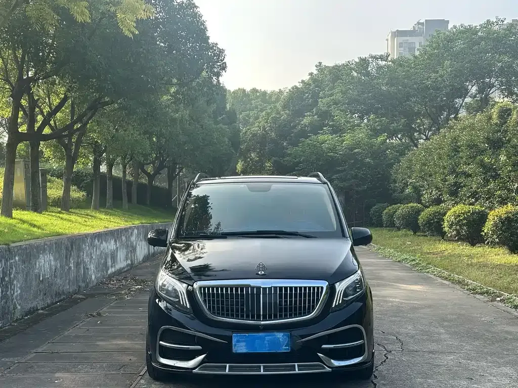 Mercedes-Benz Vito 2021 из CN, фото 2