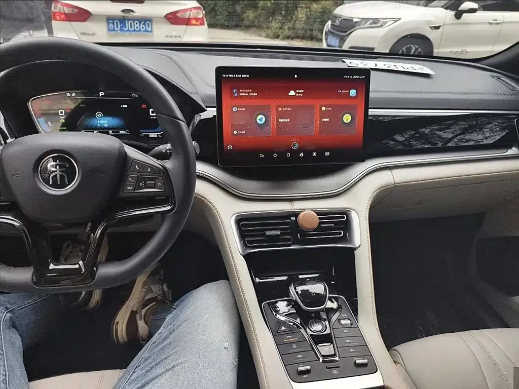 BYD PLUS New Energy 2022 из CN, фото 10