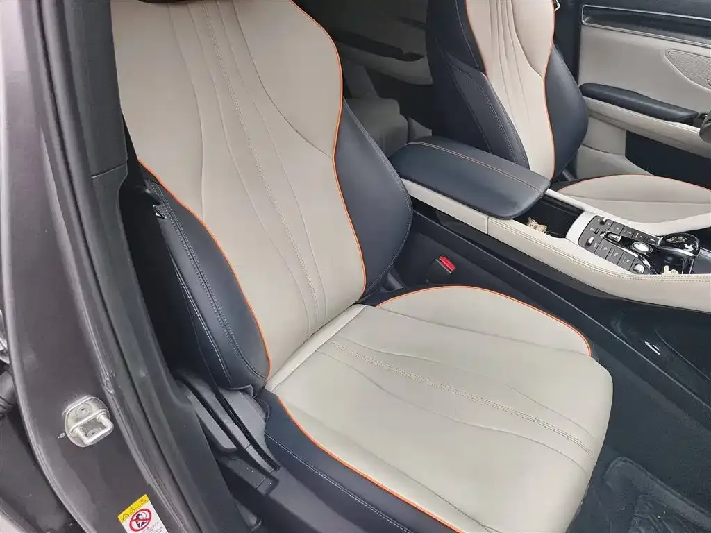 BYD PLUS New Energy 2022 из CN, фото 3