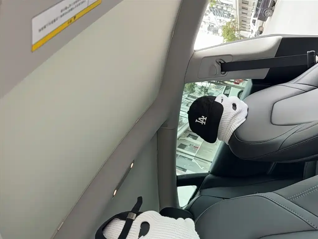 Tesla Model 3 2021 из CN, фото 2