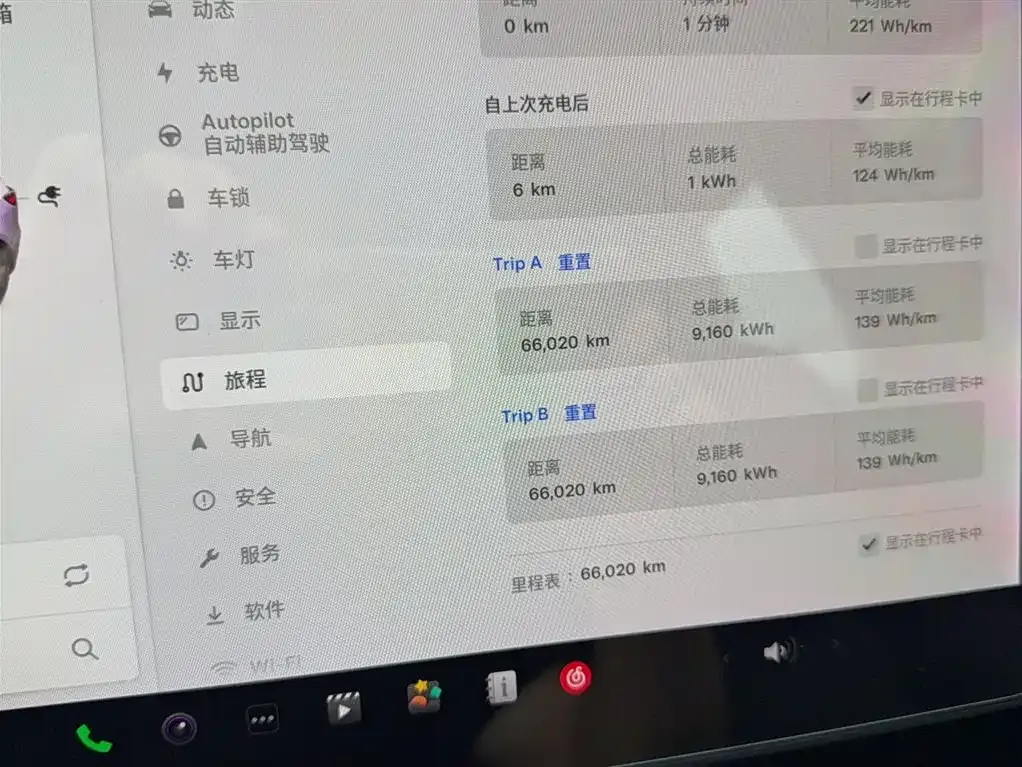 Tesla Model 3 2021 из CN, фото 6