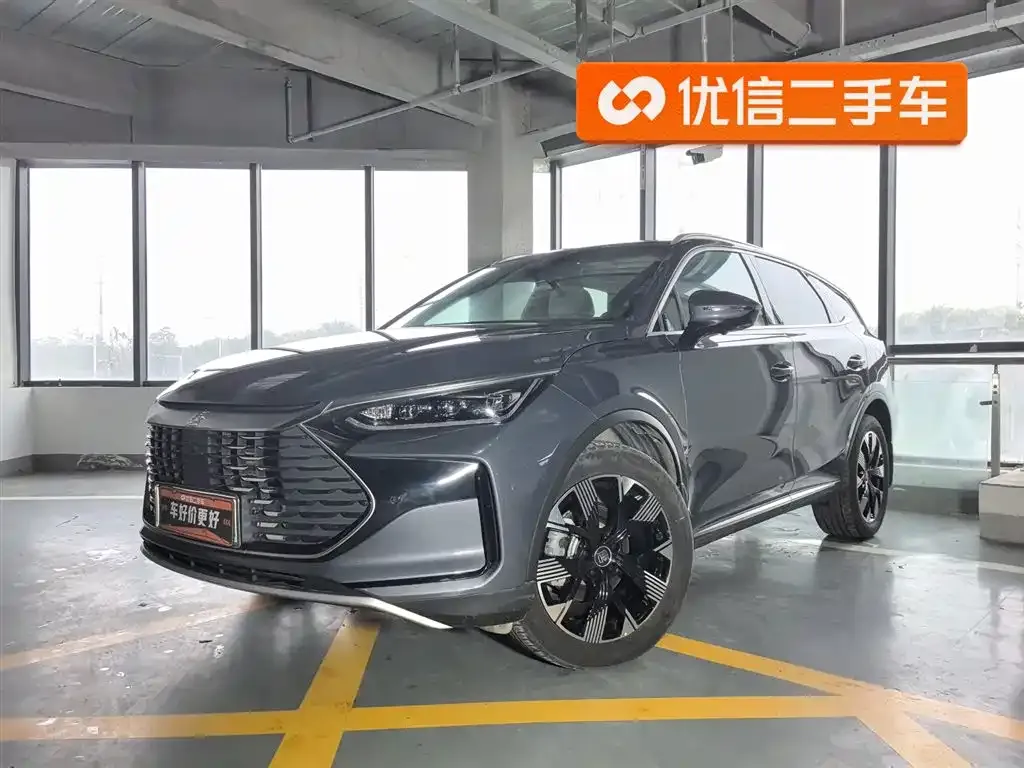 BYD Tang New Energy 2024 из CN, фото 1