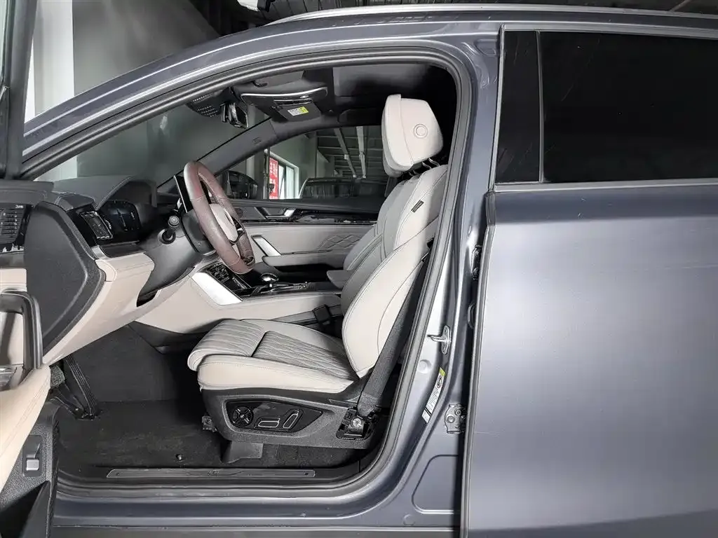 BYD Tang New Energy 2024 из CN, фото 10