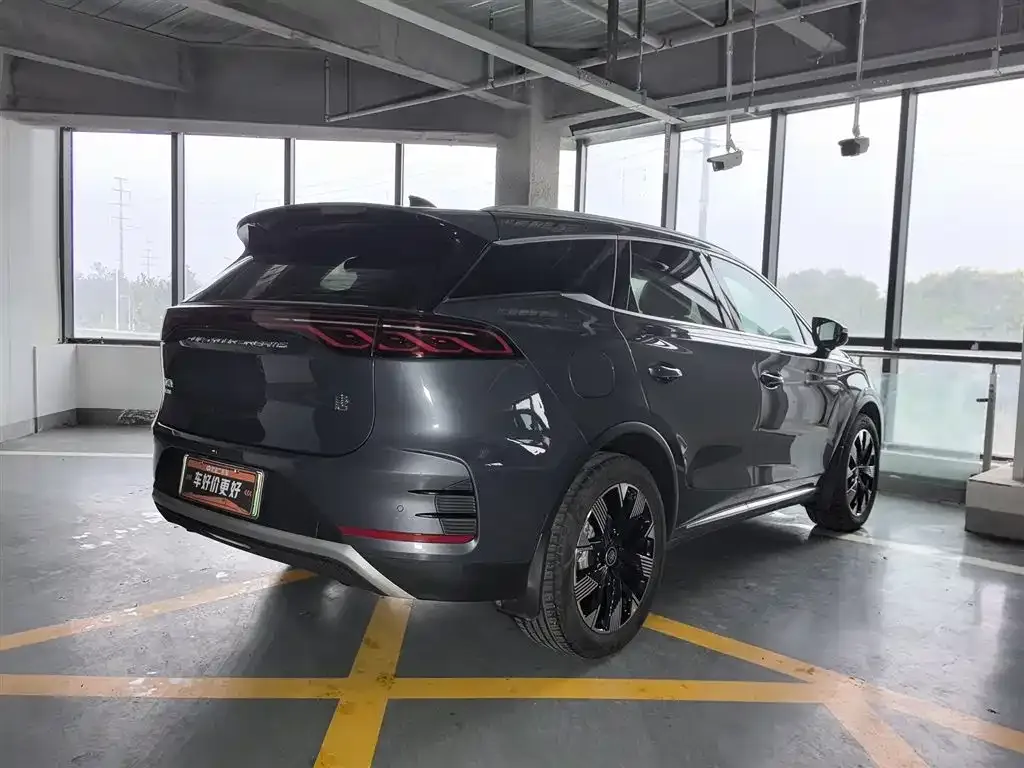 BYD Tang New Energy 2024 из CN, фото 2