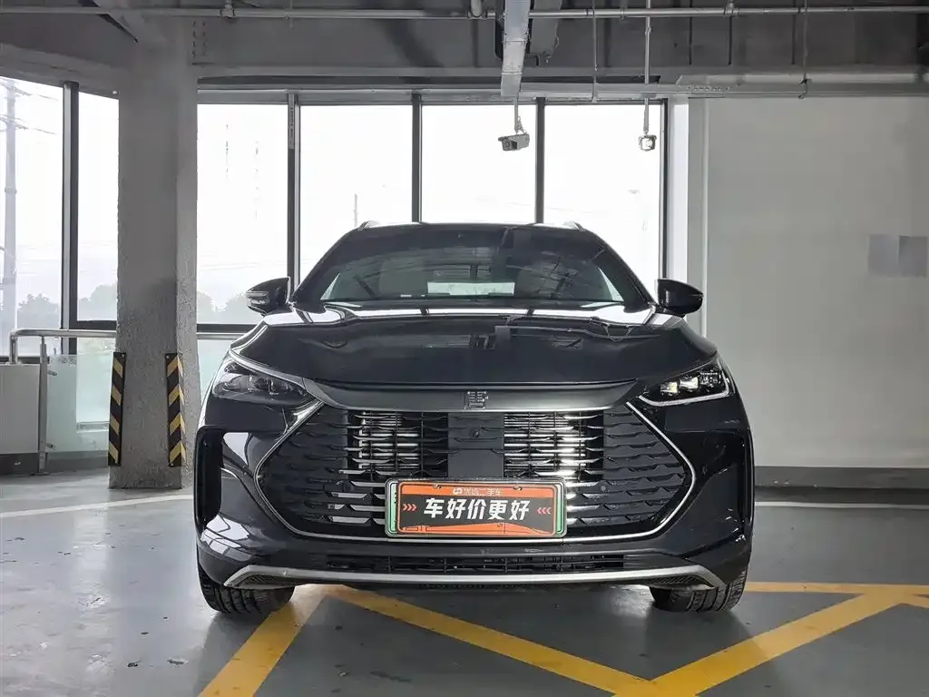 BYD Tang New Energy 2024 из CN, фото 3