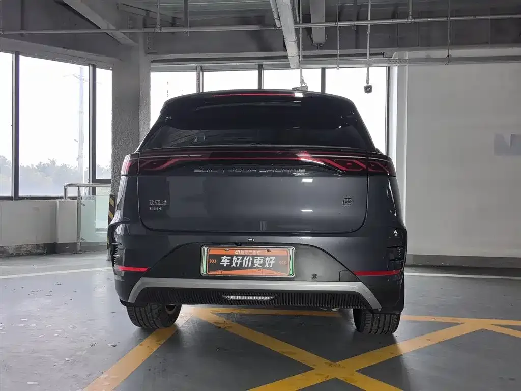 BYD Tang New Energy 2024 из CN, фото 4
