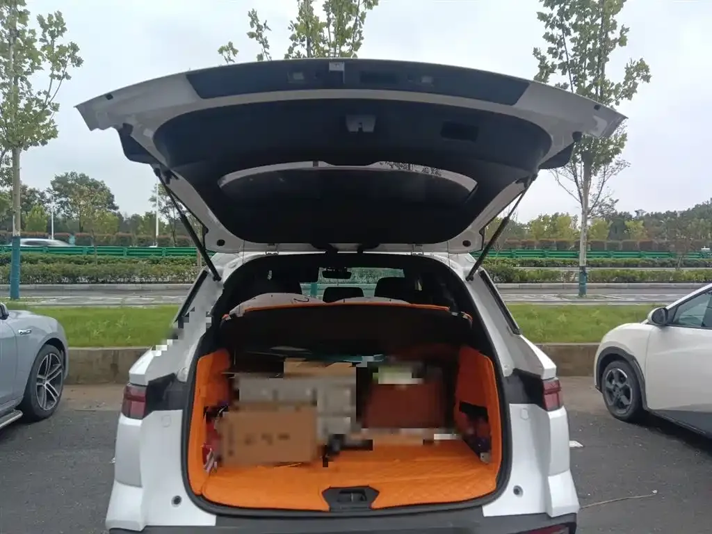 BYD Pro New Energy — фото 10
