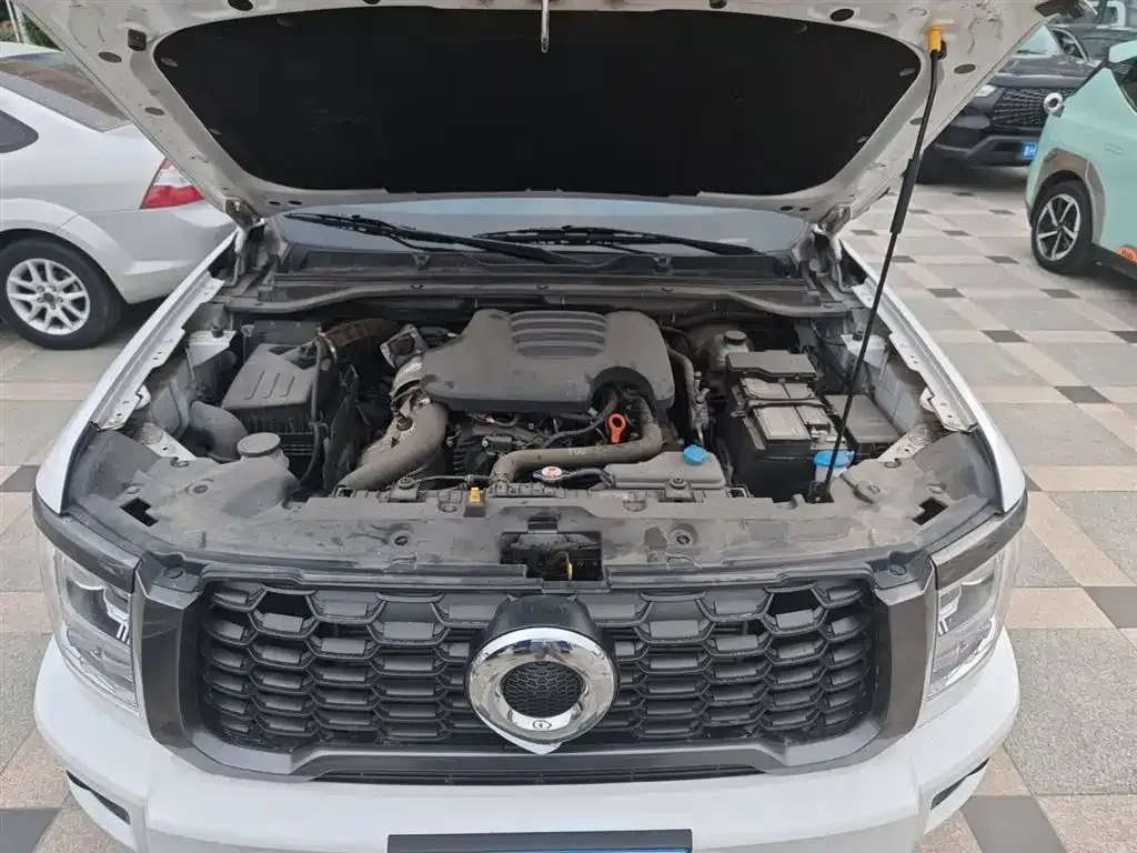 [object Object] King Kong Pao 2023 из CN, фото 8