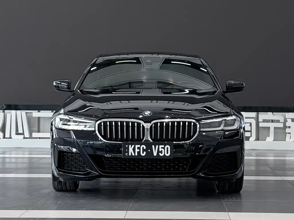 BMW 5 Series 2022 из CN, фото 2