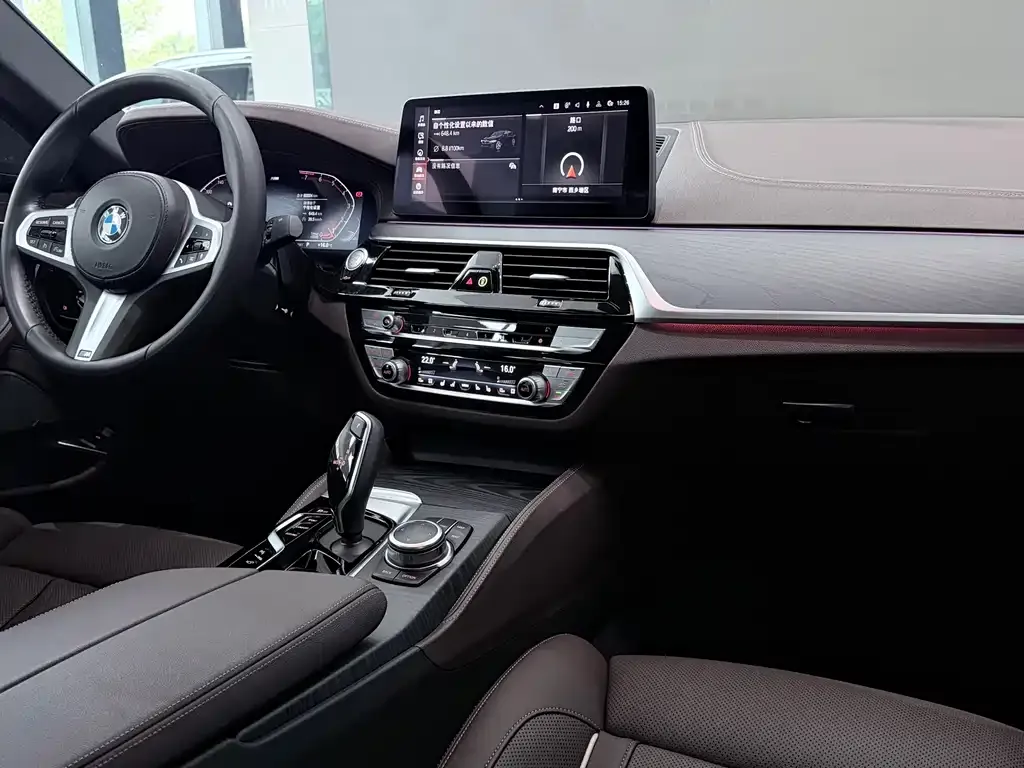 BMW 5 Series 2022 из CN, фото 8