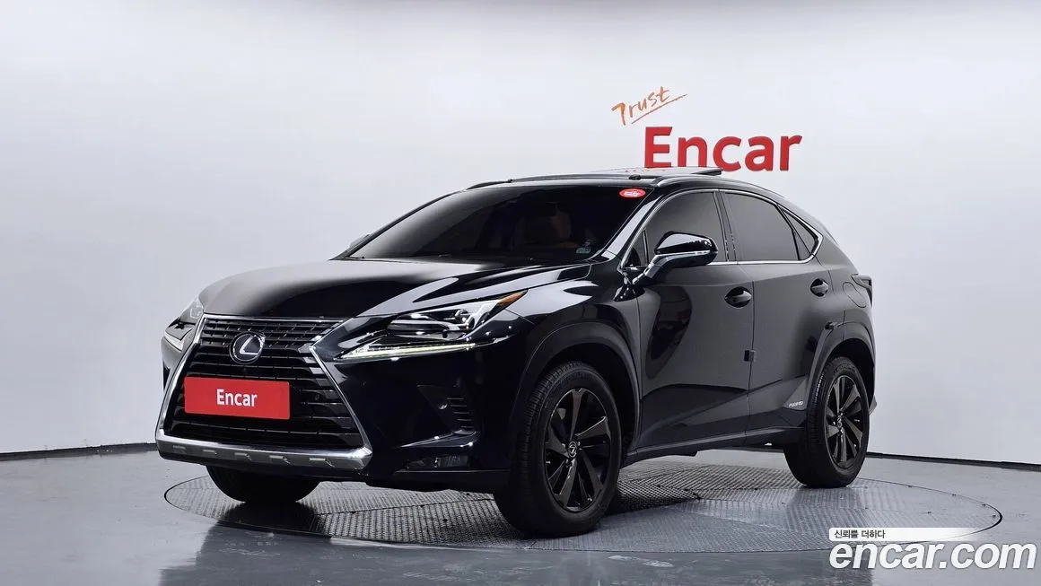 Lexus NX 2021 из KR, фото 1