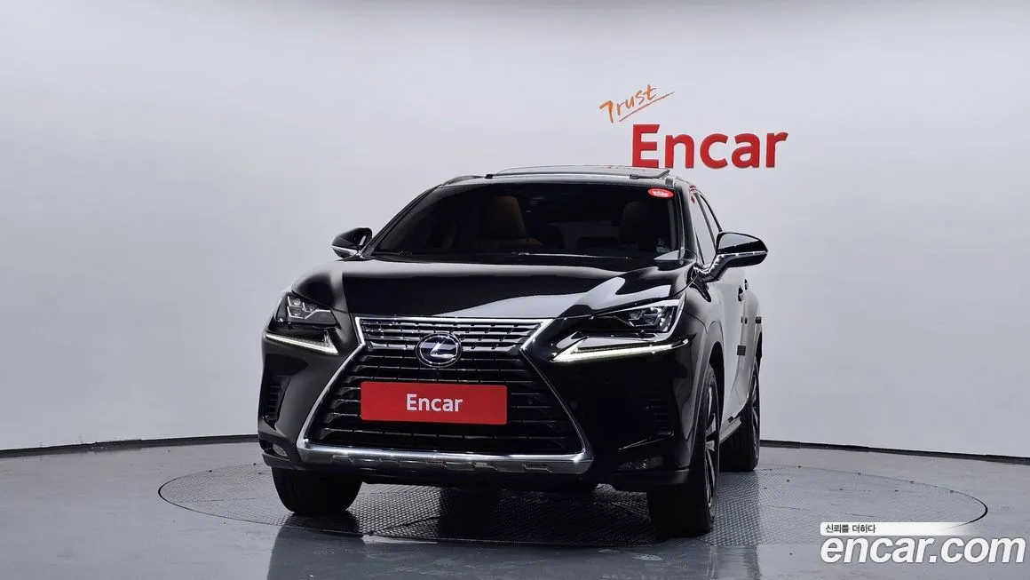 Lexus NX 2021 из KR, фото 3