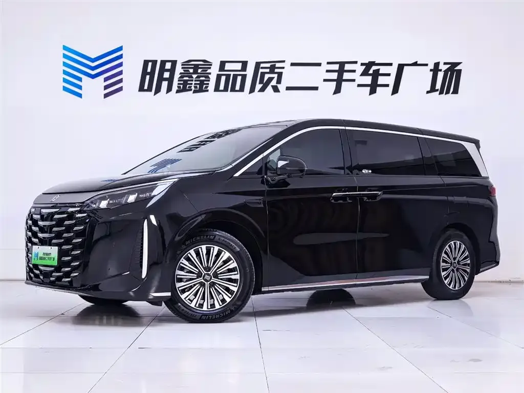 BYD Xia 2025 из CN, фото 2