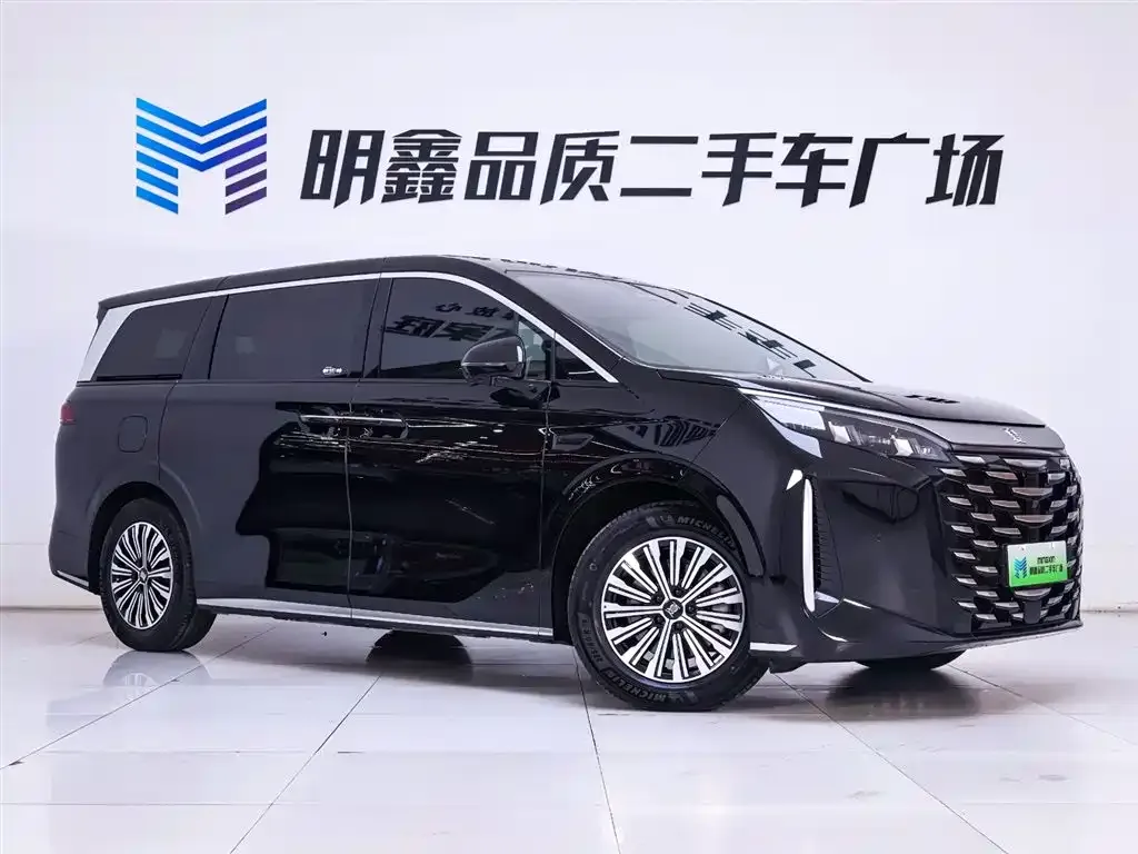 BYD Xia 2025 из CN, фото 5