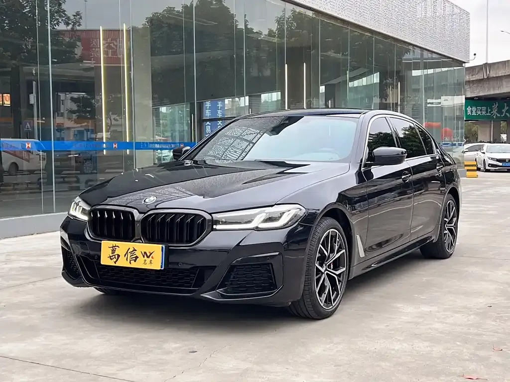 BMW 5 Series 2022 из CN, фото 1