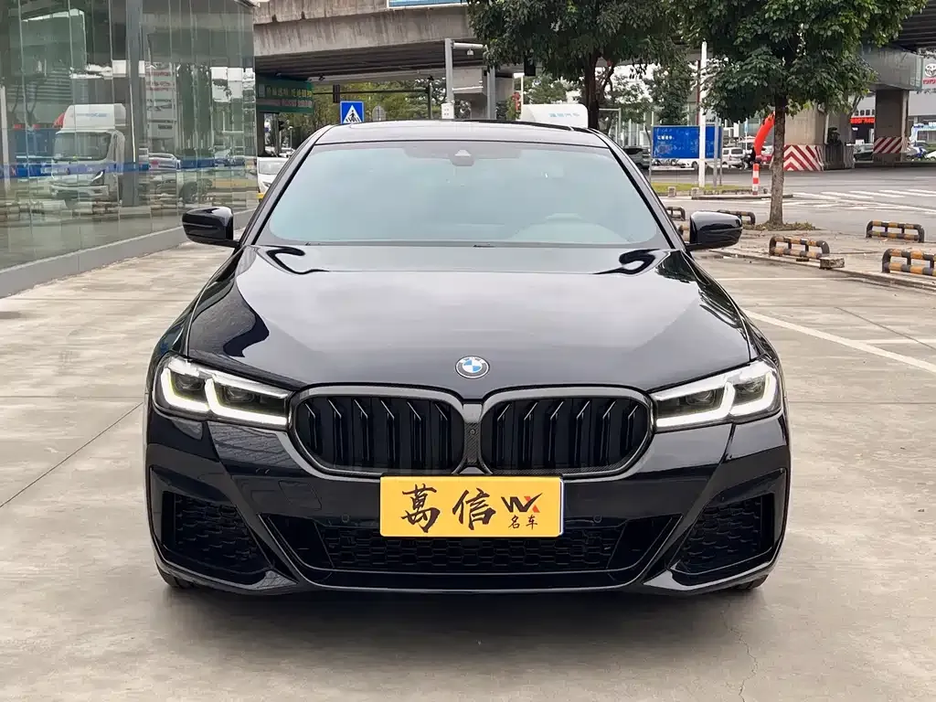 BMW 5 Series 2022 из CN, фото 2