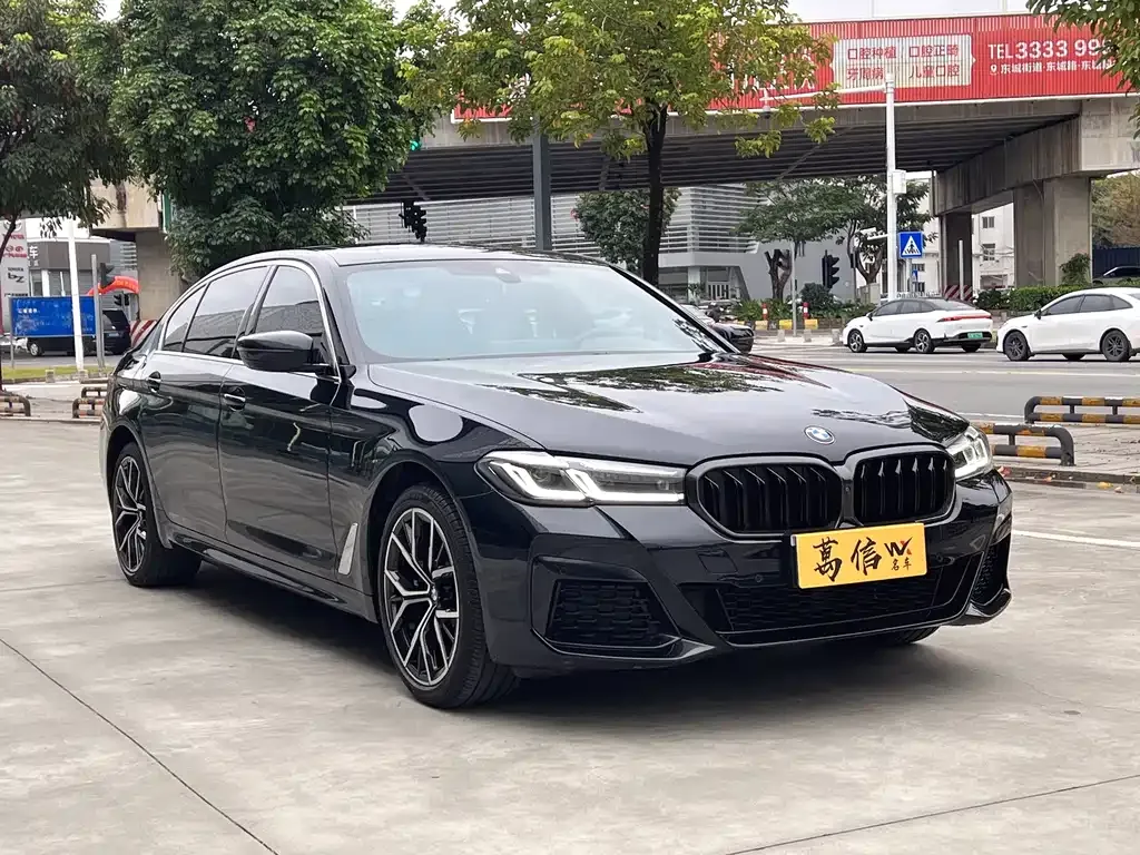 BMW 5 Series 2022 из CN, фото 3