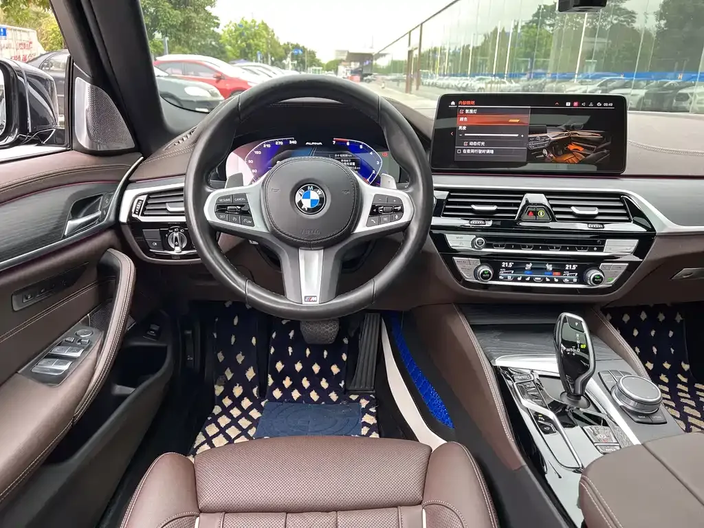 BMW 5 Series 2022 из CN, фото 6