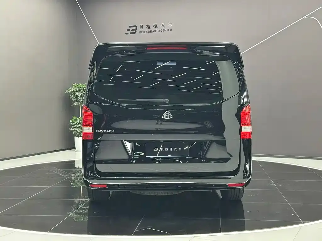 Mercedes-Benz Vito 2023 из CN, фото 3