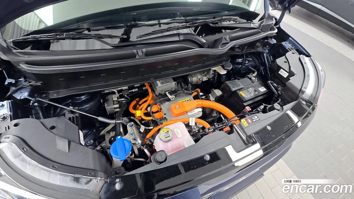 [object Object] RAY 2024 из KR, фото 6