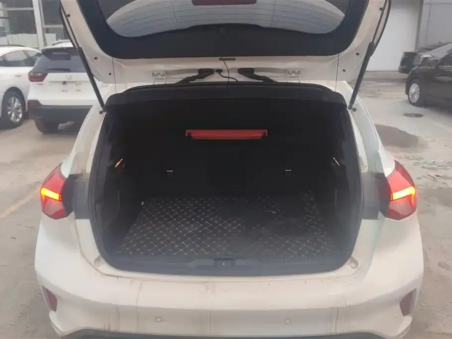 Ford Focus 2021 из CN, фото 4