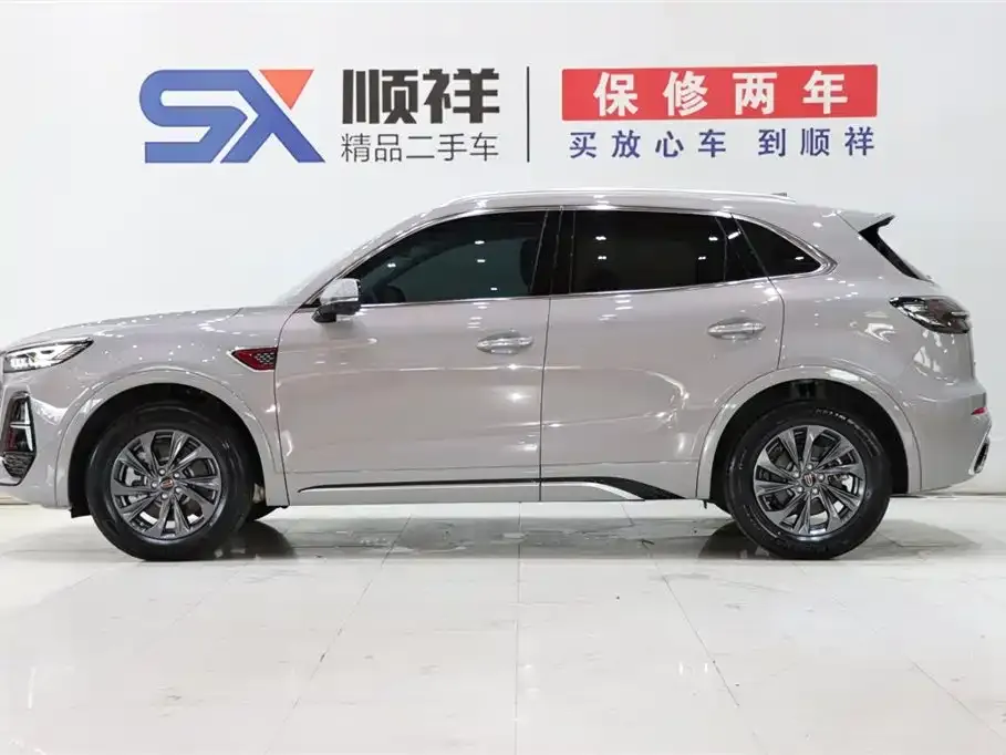 Hongqi HS5 2024 из CN, фото 6