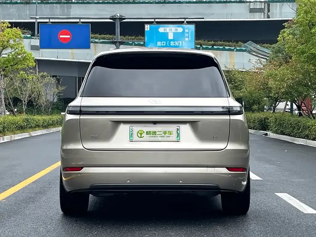 Li Auto Li L9 2023 из CN, фото 4