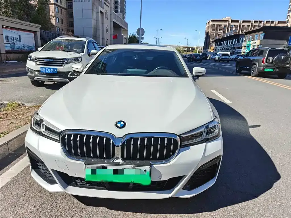 BMW 5 Series New Energy 2021 из CN, фото 2