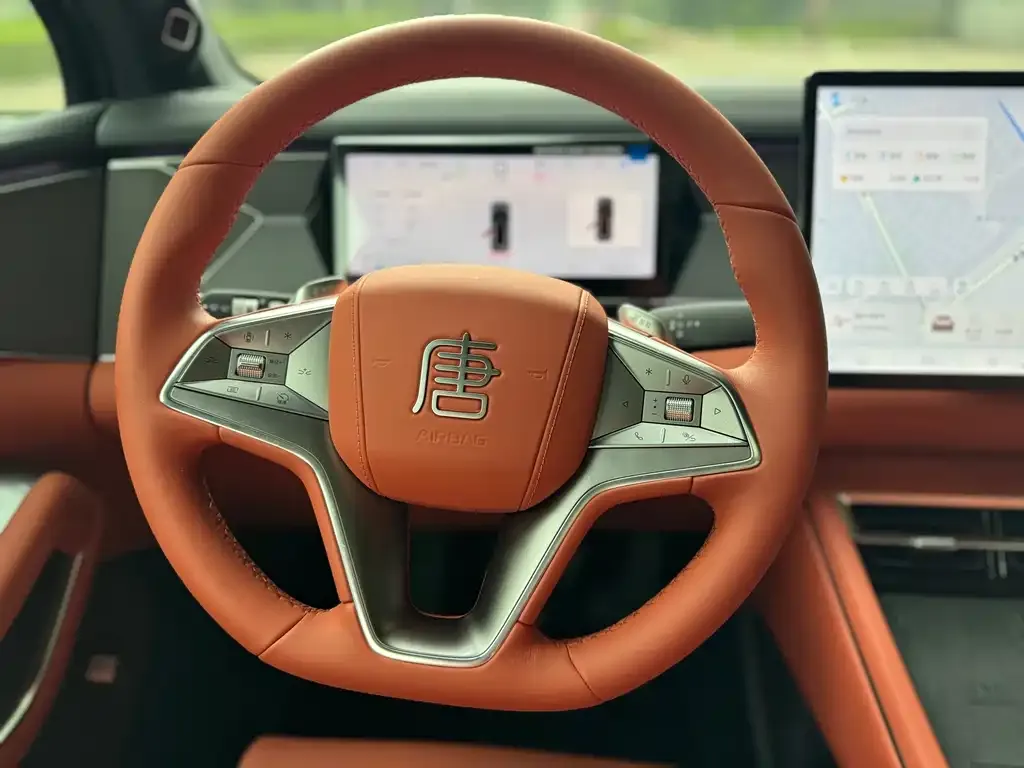 BYD Tang L 2025 из CN, фото 10