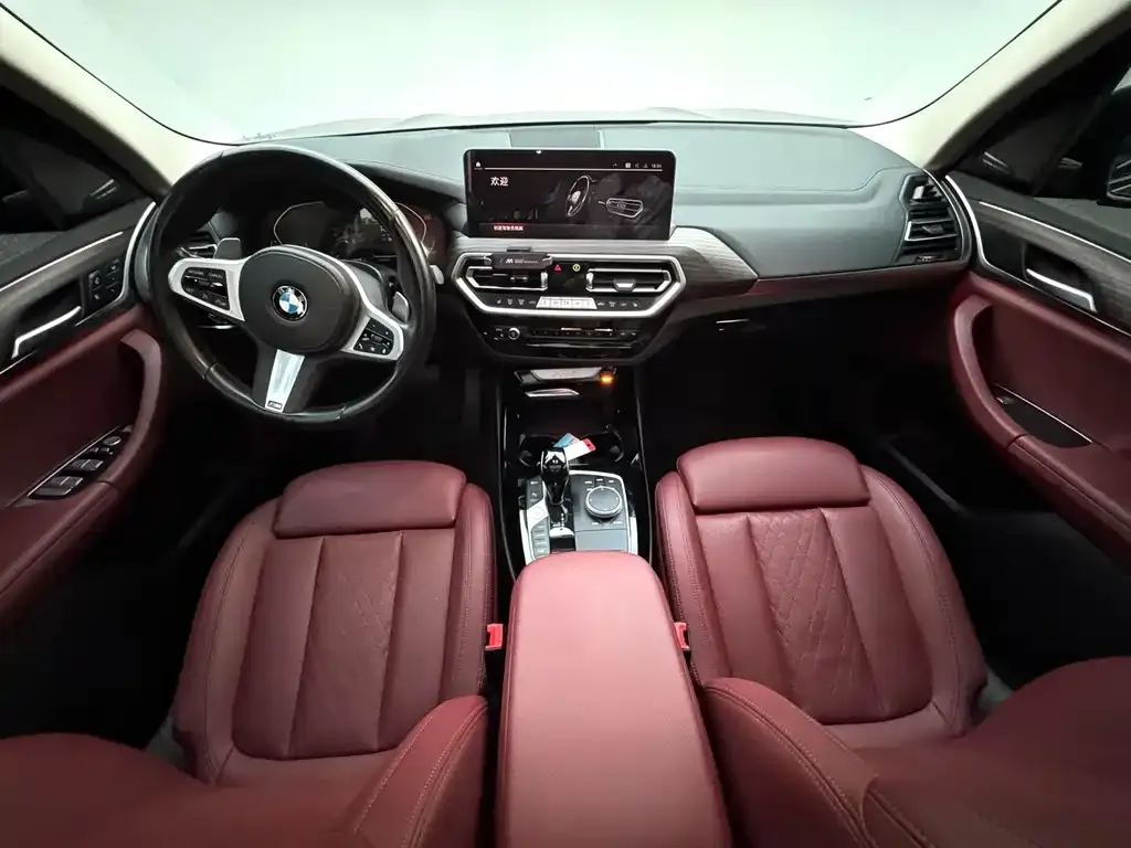 BMW X3 2022 из CN, фото 6