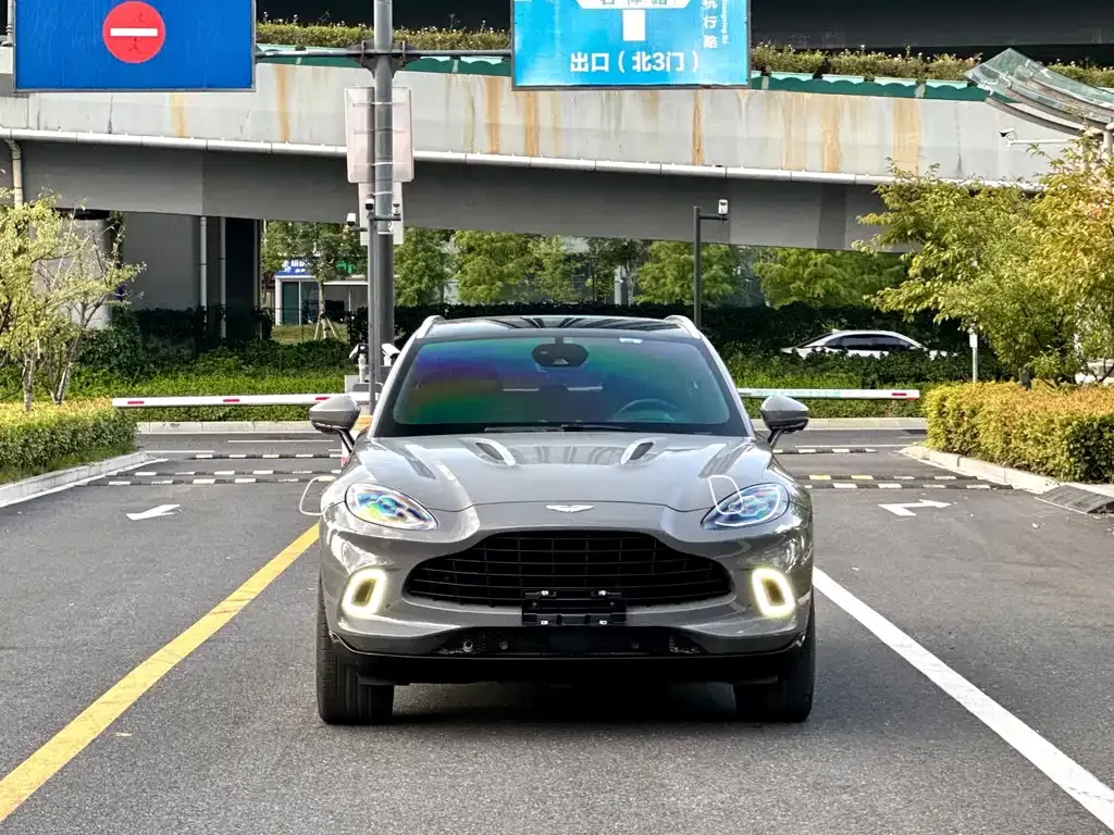 Aston Martin DBX 2022 из CN, фото 3