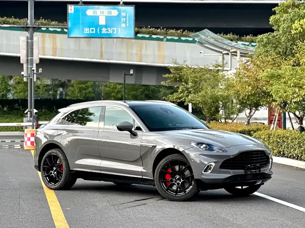 Aston Martin DBX 2022 из CN, фото 4