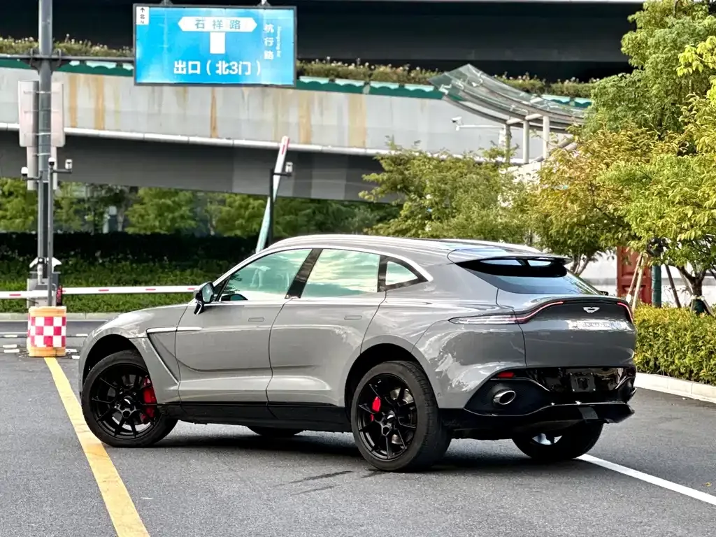 Aston Martin DBX 2022 из CN, фото 6