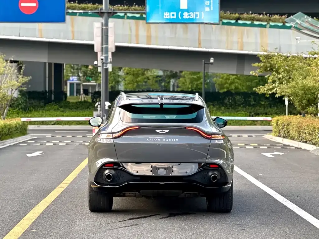 Aston Martin DBX 2022 из CN, фото 7