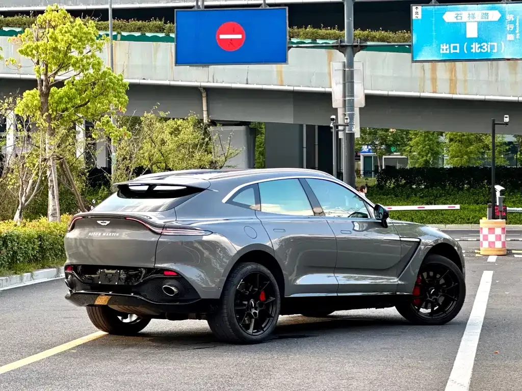 Aston Martin DBX 2022 из CN, фото 8
