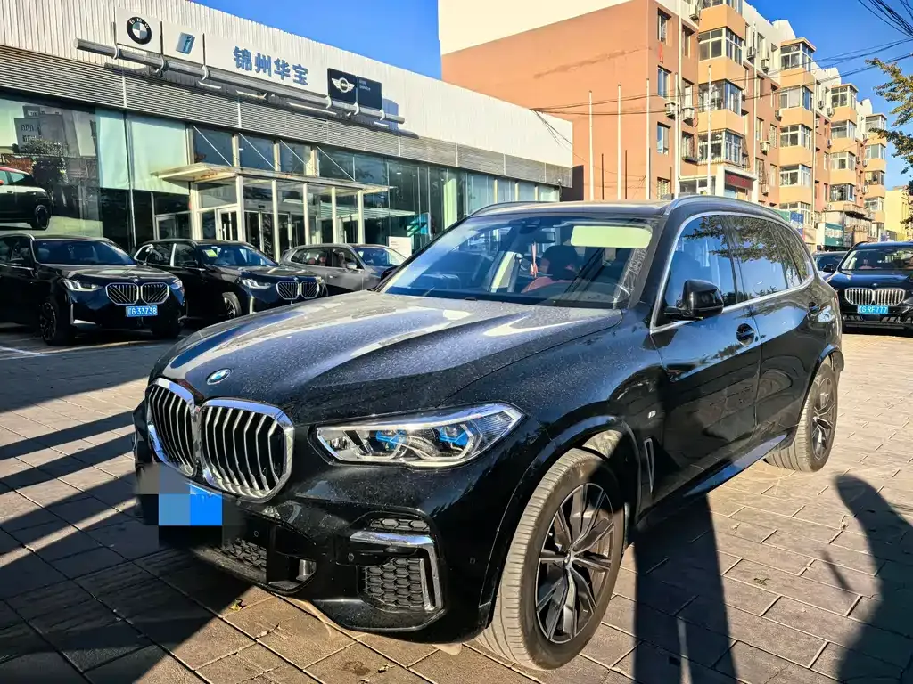 BMW X5 2023 из CN, фото 1