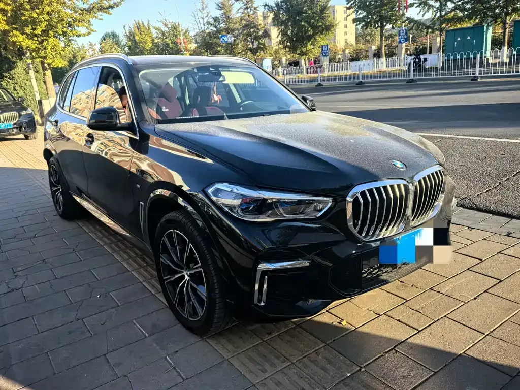 BMW X5 2023 из CN, фото 2