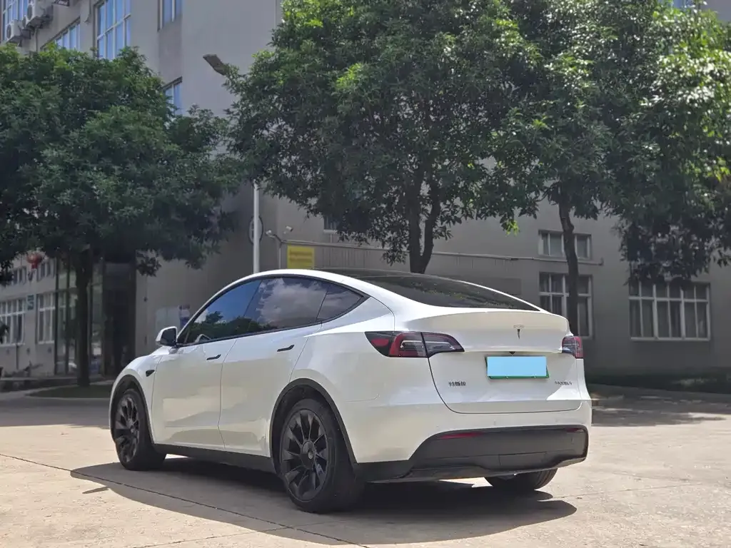 Tesla Model Y — фото 7
