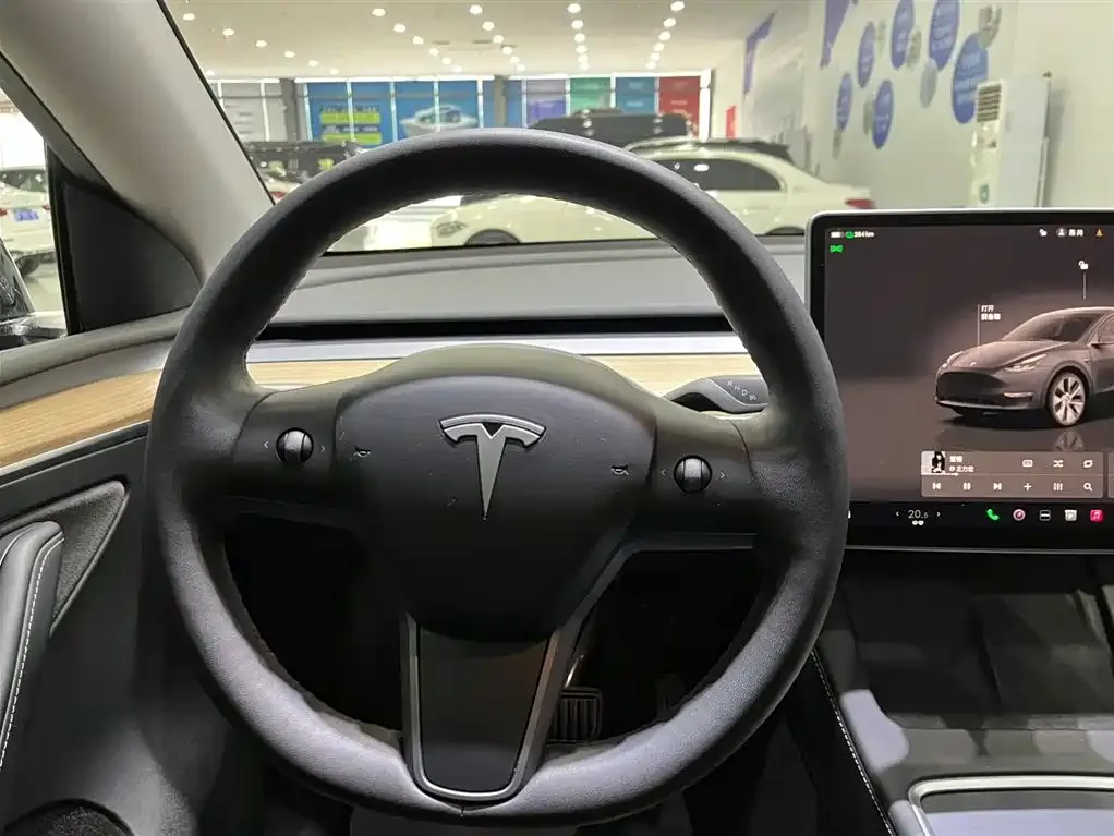 Tesla Model Y — фото 10