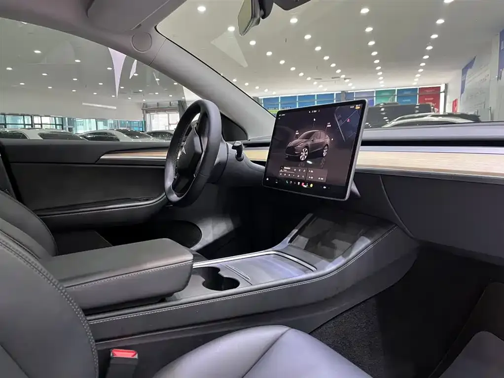 Tesla Model Y — фото 3