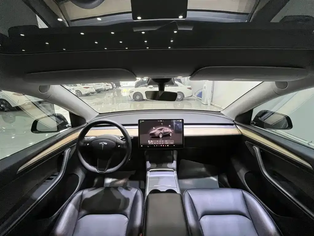 Tesla Model Y — фото 8