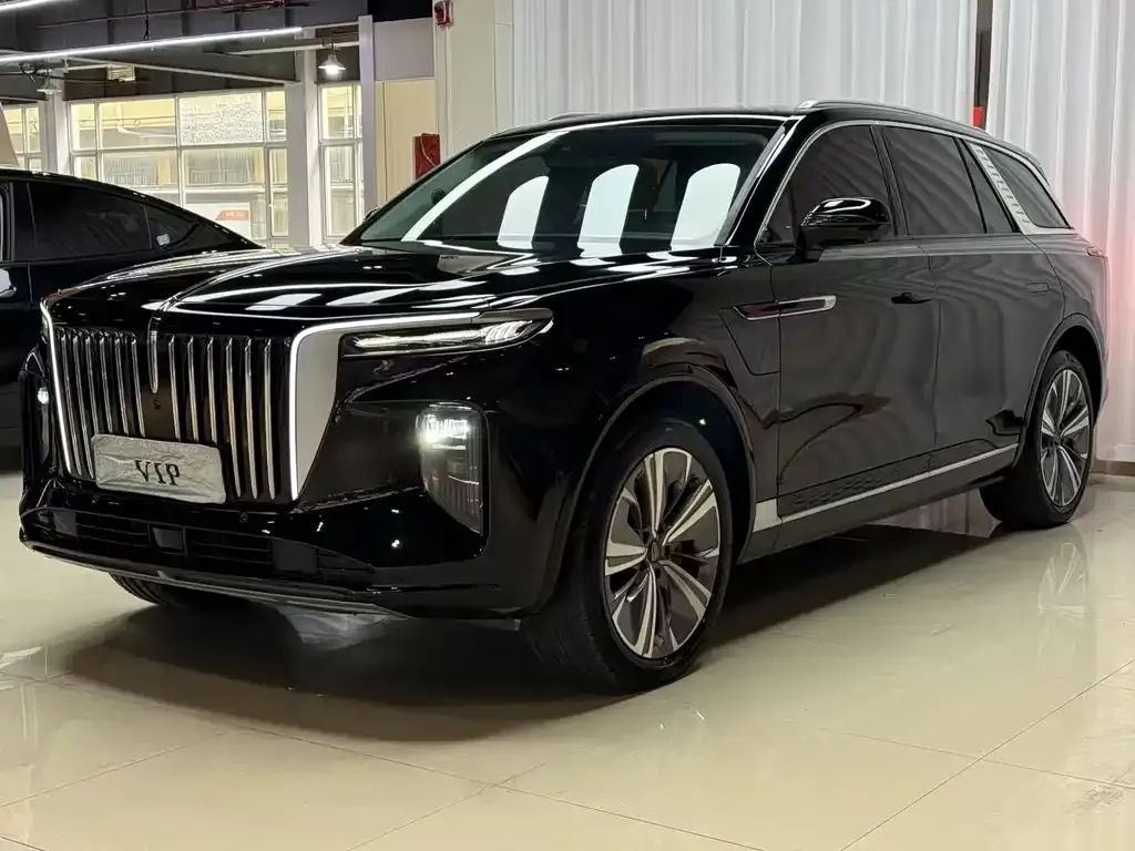 Hongqi E-HS9 2021 из CN, фото 1