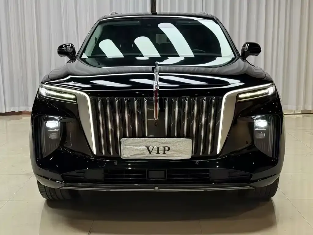 Hongqi E-HS9 2021 из CN, фото 2