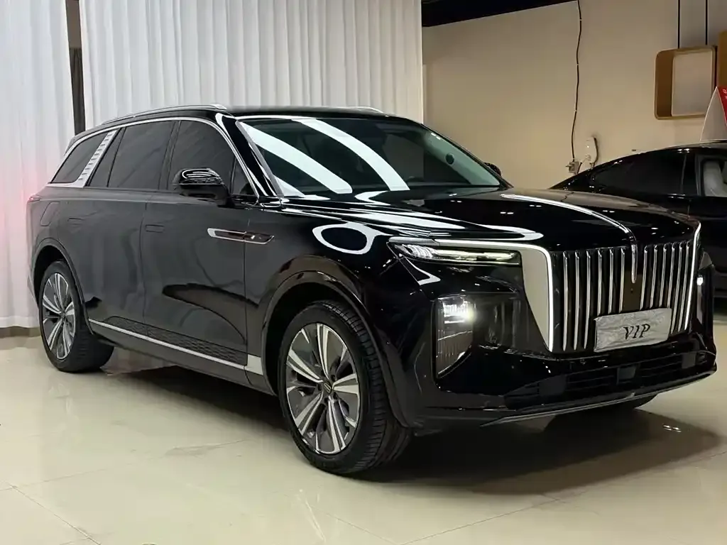 Hongqi E-HS9 2021 из CN, фото 3