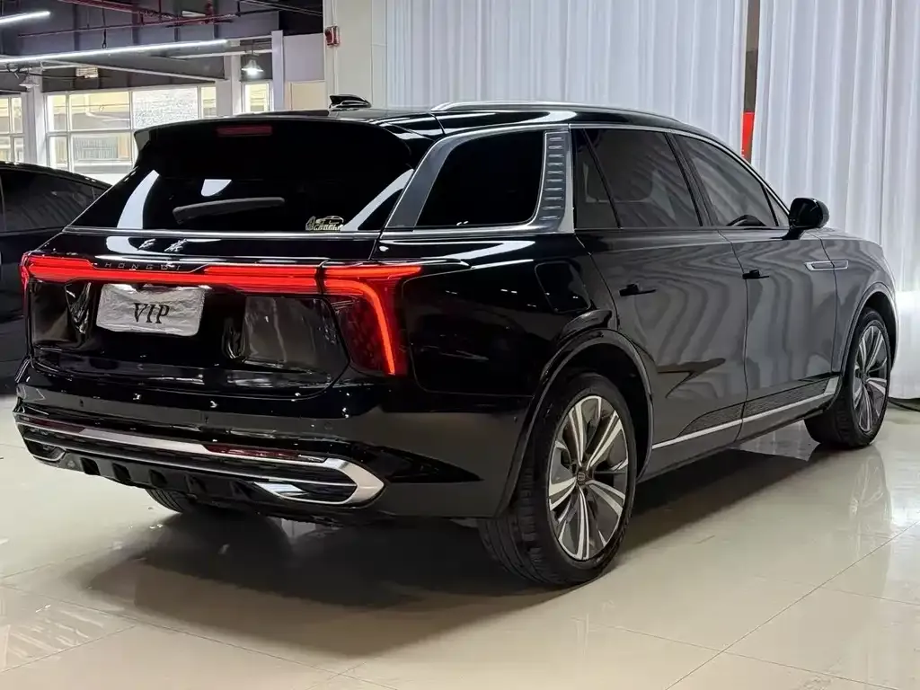Hongqi E-HS9 2021 из CN, фото 4