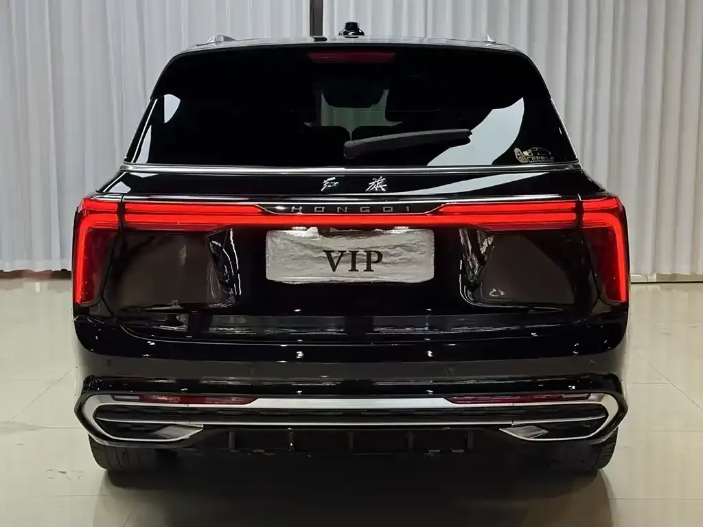 Hongqi E-HS9 2021 из CN, фото 5