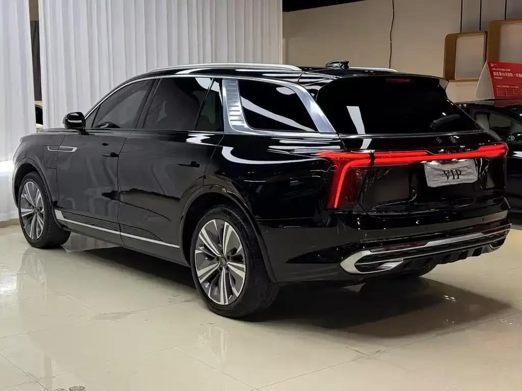 Hongqi E-HS9 2021 из CN, фото 6